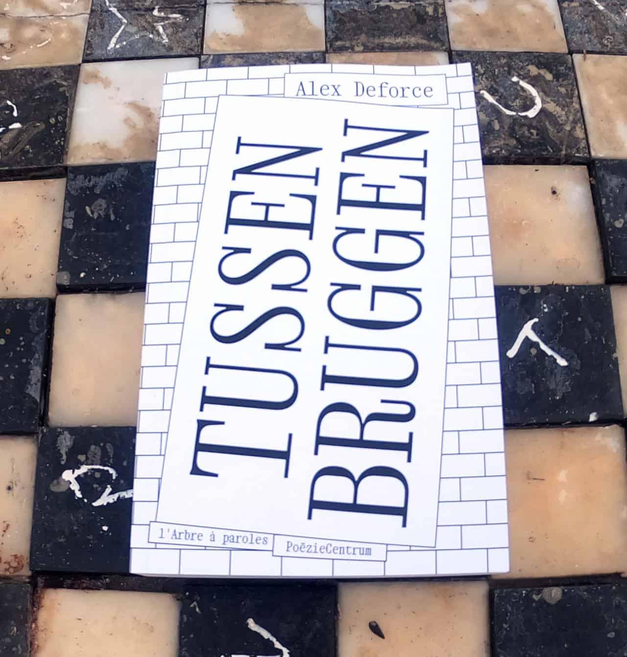 Tussenbruggen Foto van de hoes van het boek Tussenbruggen